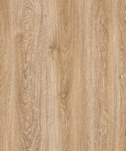 Alternative view of ROBLE CAL