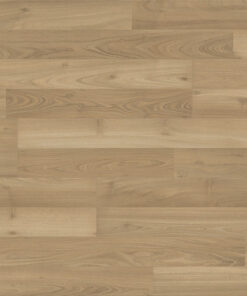 Alternative view of ACACIA REAL