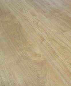 Alternative view of ROBLE ASSAGO