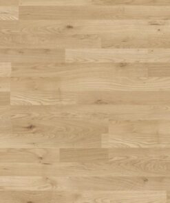 Alternative view of ROBLE TREVI