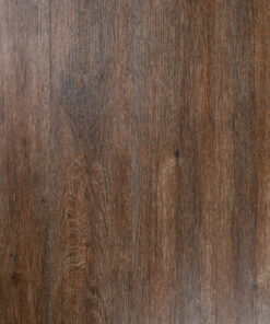 Alternative view of ROYAL ELM