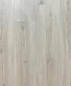 Alternative view of WINTER